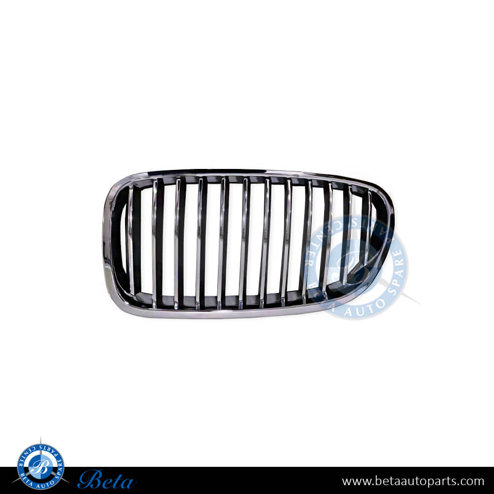 Left Side Grille for BMW 5 Series F10 2010-2013 models, Part Number 51137203649 Left Side Grille for BMW 5 Series F10 2010-2013 models, Part Number 51137203649